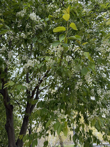 IMG 4971.jpg