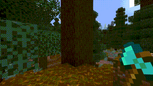 vid1.gif