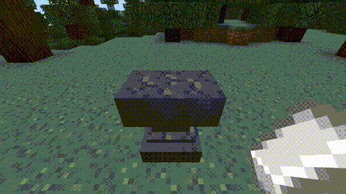 vid4.gif