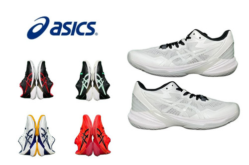 270Asics Sky Elite FF 2.jpg
