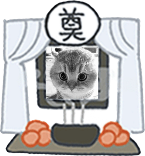 D574FF96 BB6D 4AF5 BD20 C8EBD253890E.png