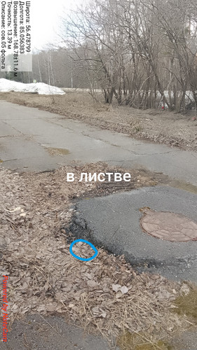 255.jpg