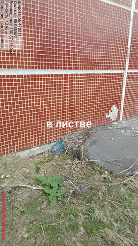 260.jpg