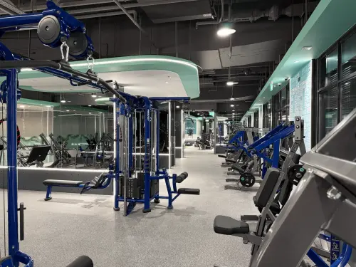 sg gmaps 247 fitness beauty 9288 0.webp