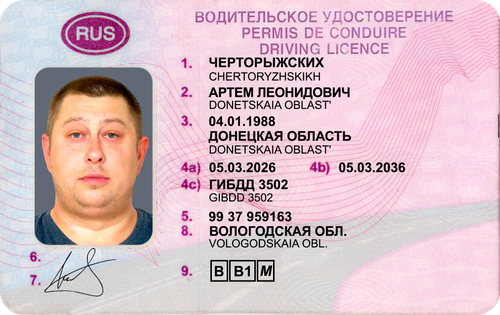 ЧЕРТОРЫЖСКИХ1.png