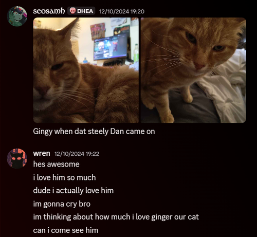 Discord o83Kr7MEUv.png
