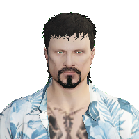 c033dbbba38f.png