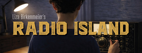 Radio Island SalesForce Header.jpg