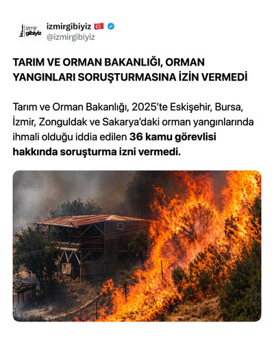 9786e443cde7.jpg