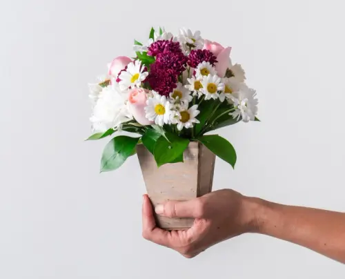 5f74991591a6.webp