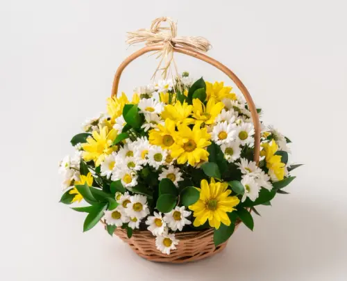 581df3ed42b4.webp