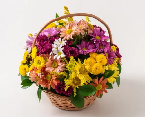 36262a0e7543.webp