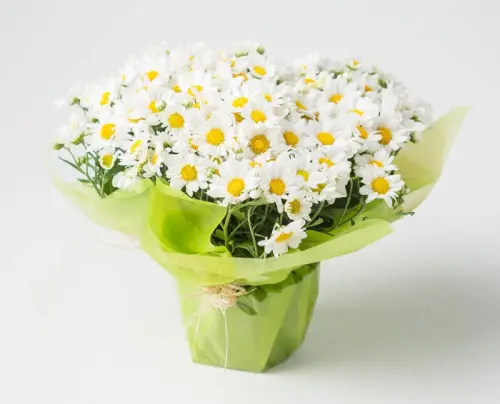 cc881f5a0feb.webp