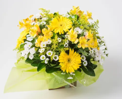 78d2956e8ea3.webp