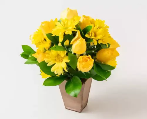 5648e0aef281.webp