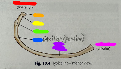 IMG 7977.png