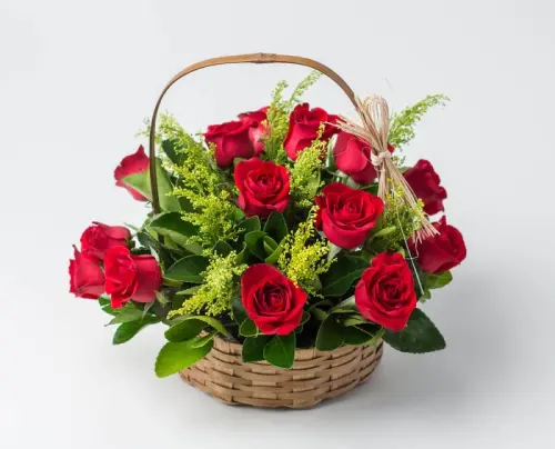 009716c8fd0e.webp