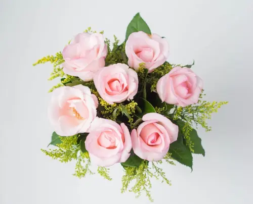 17e8bb8fa56b.webp