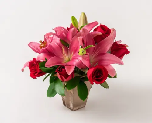 eec7f7455783.webp