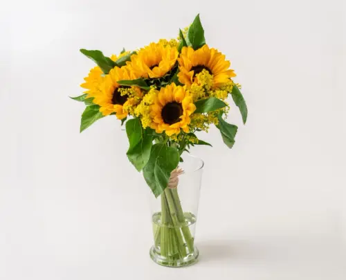 9ea411c879f9.webp