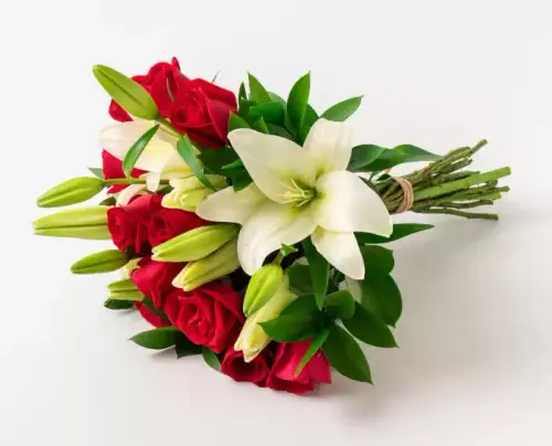91685b47f3c3.webp