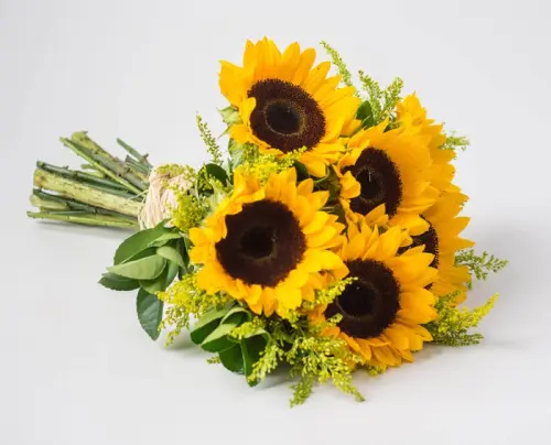 34e3b9ed1887.webp