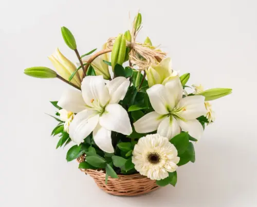 82b7878aee29.webp