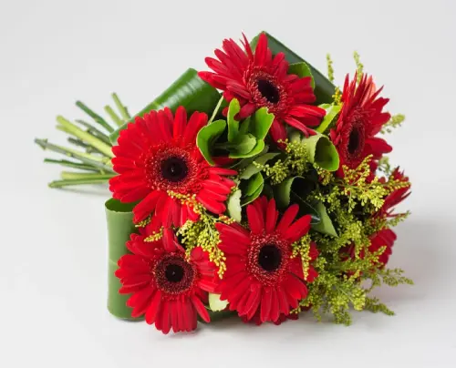 bf281e42c956.webp