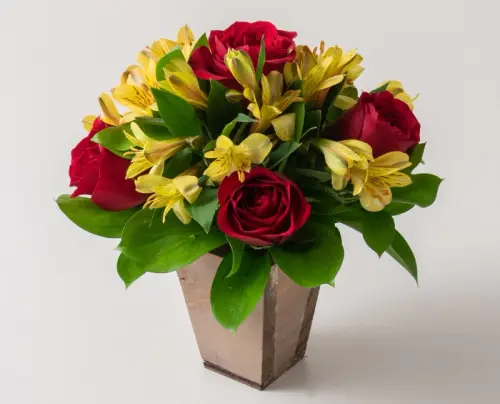 446b24be47e5.webp