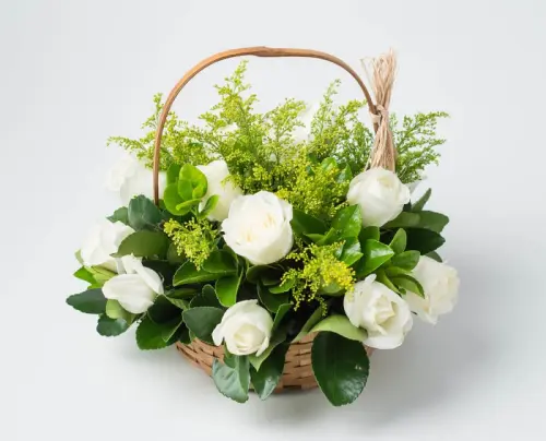 57180c3083de.webp