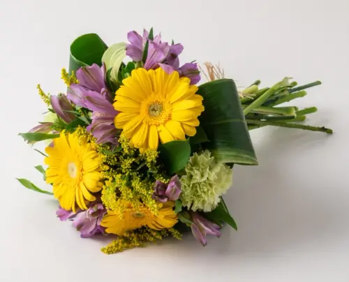 f70b53241028.webp