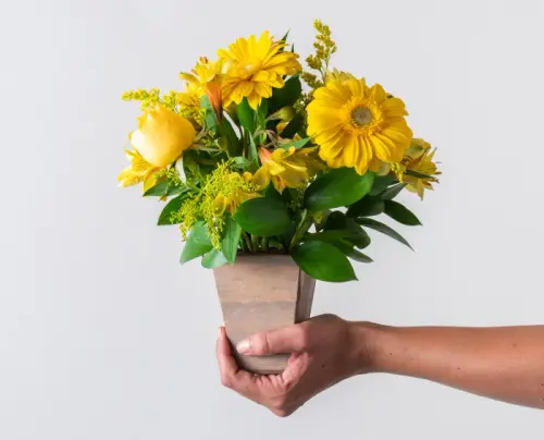 3f679fe152cb.webp