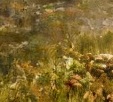 Ground 1.jpg