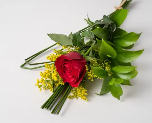 691e82b4cd0c.webp