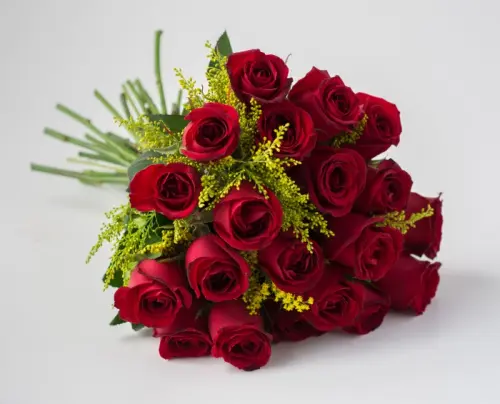 66d4ade3a82f.webp