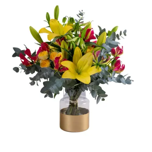 8054c352a372.webp