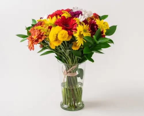 098fc6c005f4.webp