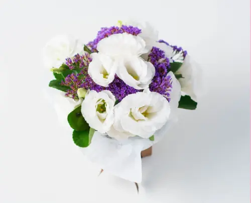fd1bee637b08.webp