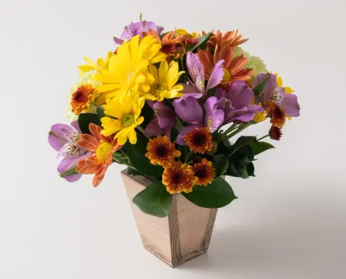 3a11a1591d93.webp