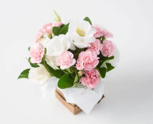 73db84b28a74.webp