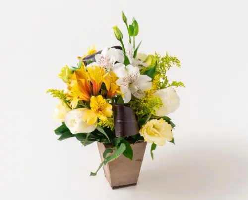 a115f8024188.webp