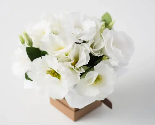 6356ed55087d.webp