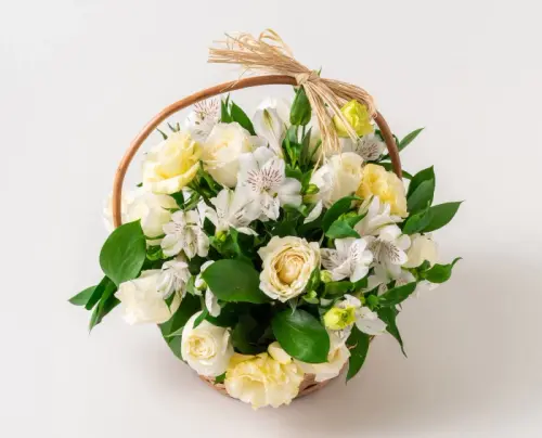 9c75ad43a4a6.webp