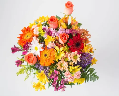 a269d772e488.webp