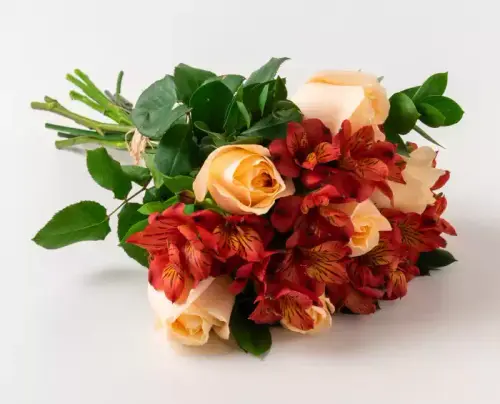bacebcb532de.webp