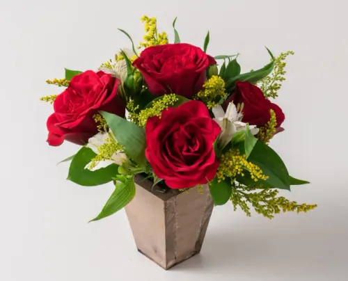 33e33de5d815.webp