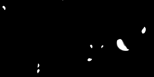 aa1aa6bcf381.gif