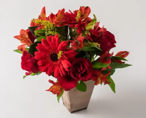 6342f10ed3a7.webp