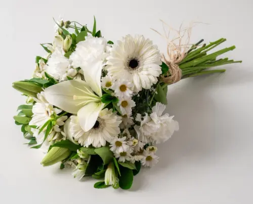 7df91ba661e7.webp