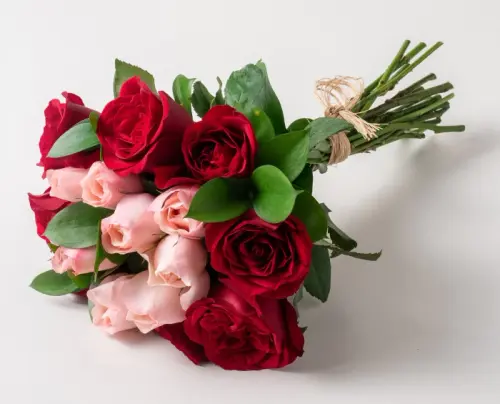 e3142373d71c.webp